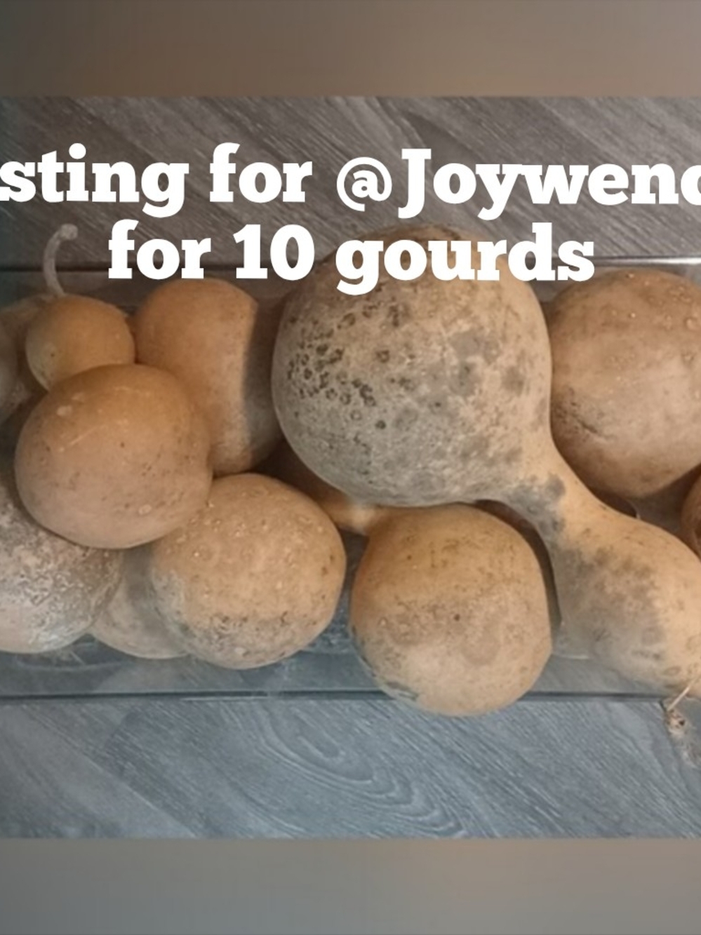 Listing For 10 Decorative Real Dried Gourds For @Joywendt